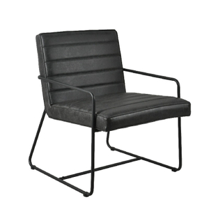 Manufacturer Hot Selling Metal Leisure Accent Chair with Armrest (ZG20-022)