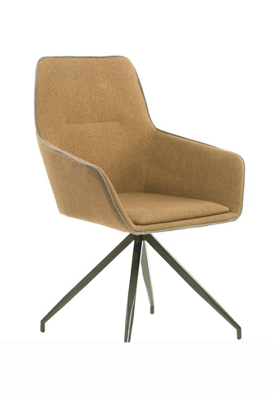 Hot Selling Hotel Home Restaurant Modern Furniture Metal Leisure Accent Chair with Armrest (ZG23-037)