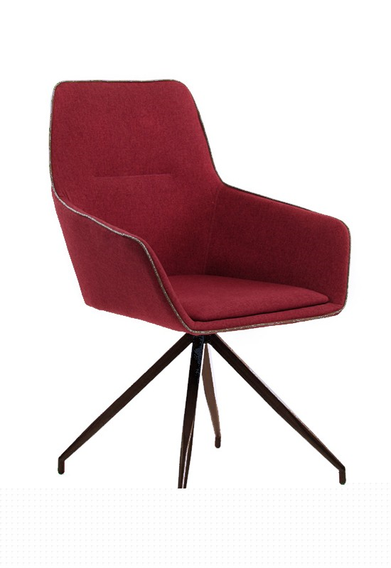 Hot Selling Hotel Home Restaurant Modern Furniture Metal Leisure Accent Chair with Armrest (ZG23-037)