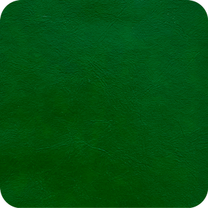 Green Vinyl Color Swatches for Banquet Chairs and Church Chairs