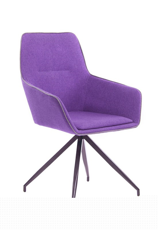 Hot Selling Hotel Home Restaurant Modern Furniture Metal Leisure Accent Chair with Armrest (ZG23-037)