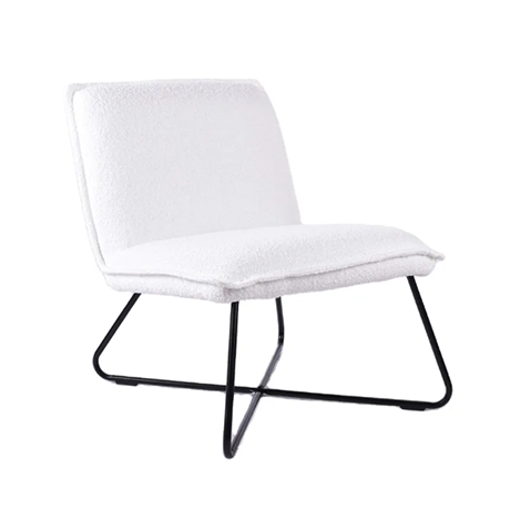 Manufacturer Home Furniture Modern Hot Selling Metal Leisure Chair (ZG20-077)